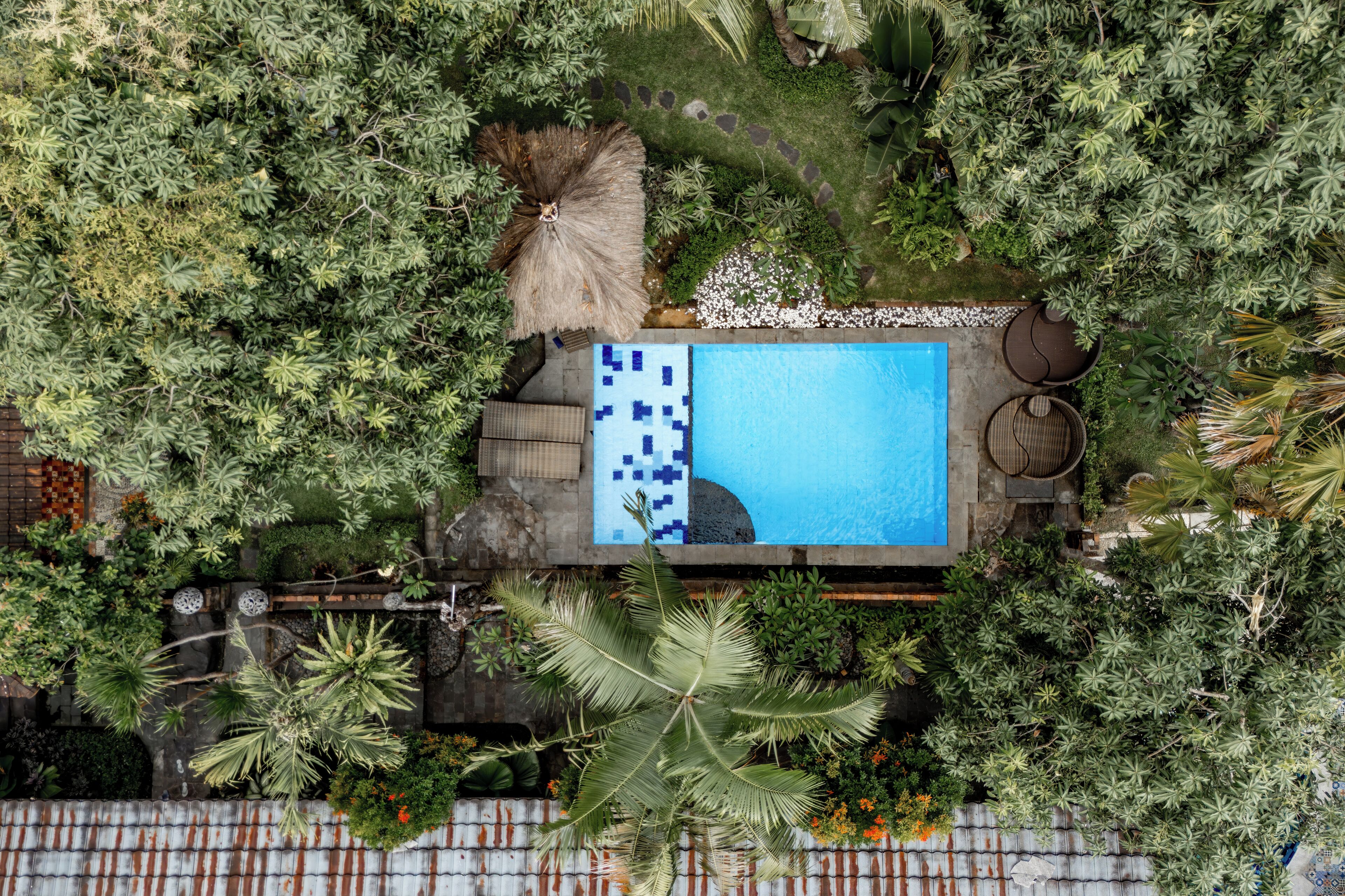 Vista aérea de una zona de piscina rodeada de exuberante vegetación, que incluye diversas plantas tropicales y un paraguas de paja.