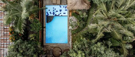 Une vue aérienne d’une piscine rectangulaire, entourée d’une végétation tropicale luxuriante, notamment de palmiers et de divers arbustes.
