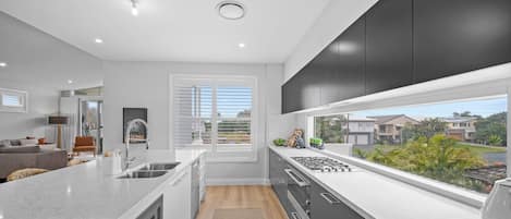 Fridge, microwave, stovetop, dishwasher