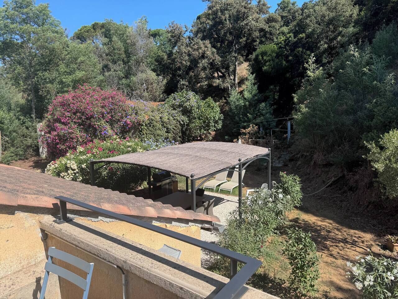Een overdekt terras met een tafel en stoelen, omringd door weelderige begroeiing en bomen.