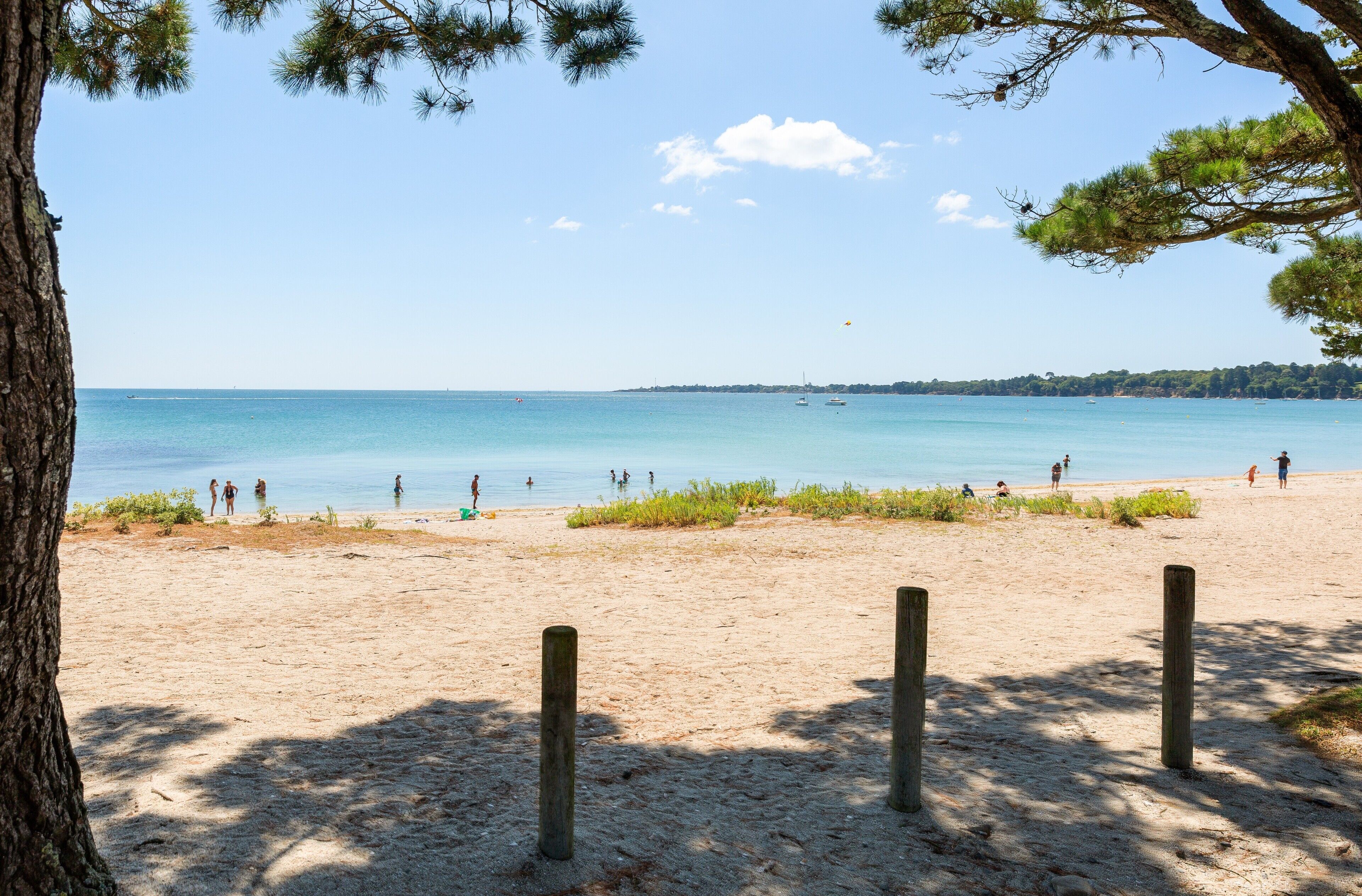 A beach with clear water, people, and a tree in the foreground.