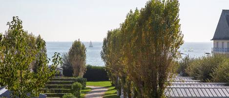 A pathway leading to a body of water with sailboats, surrounded by trees and buildings.