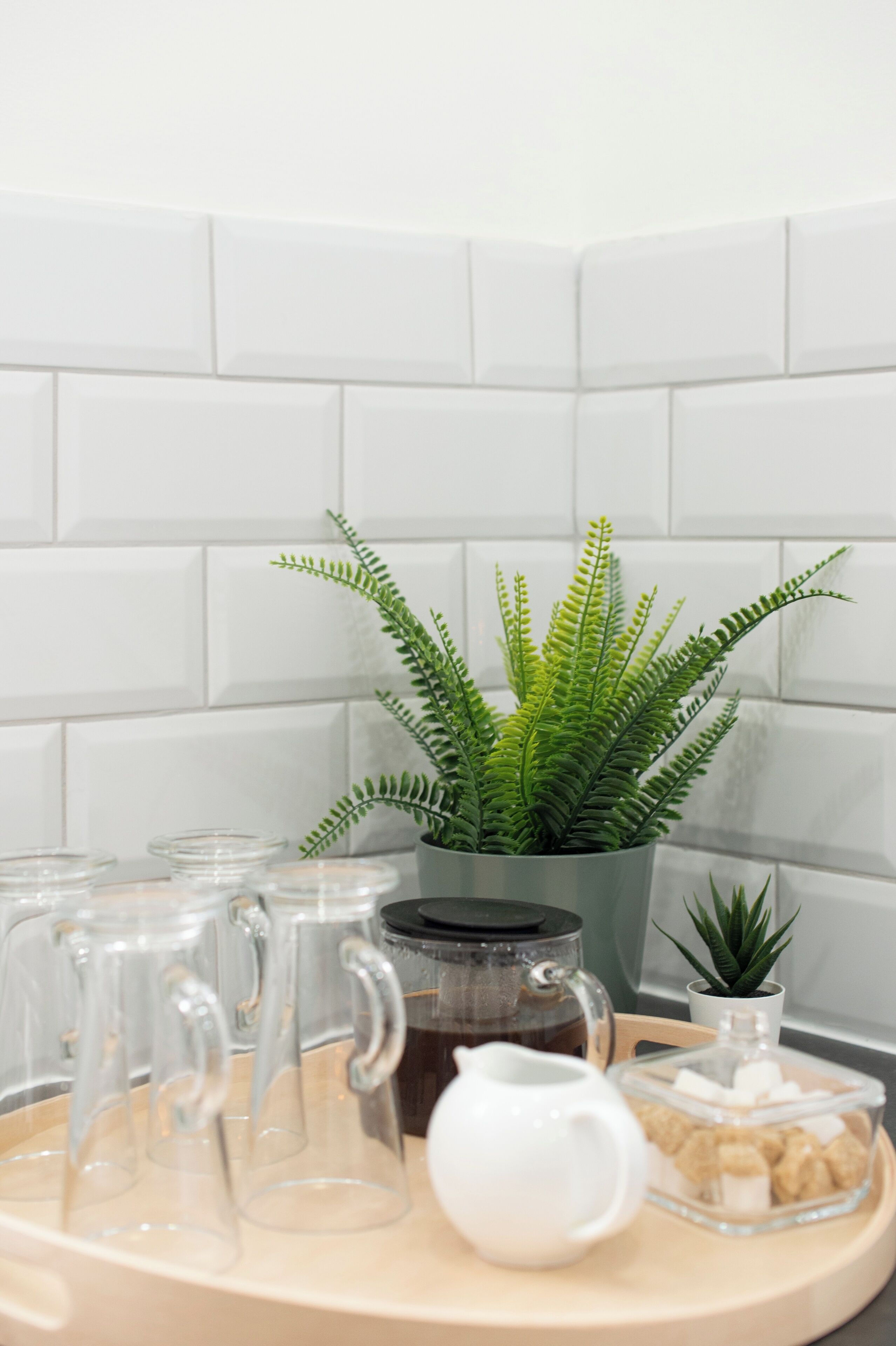 A kitchen counter with a coffee maker, a pitcher, and a small potted plant.