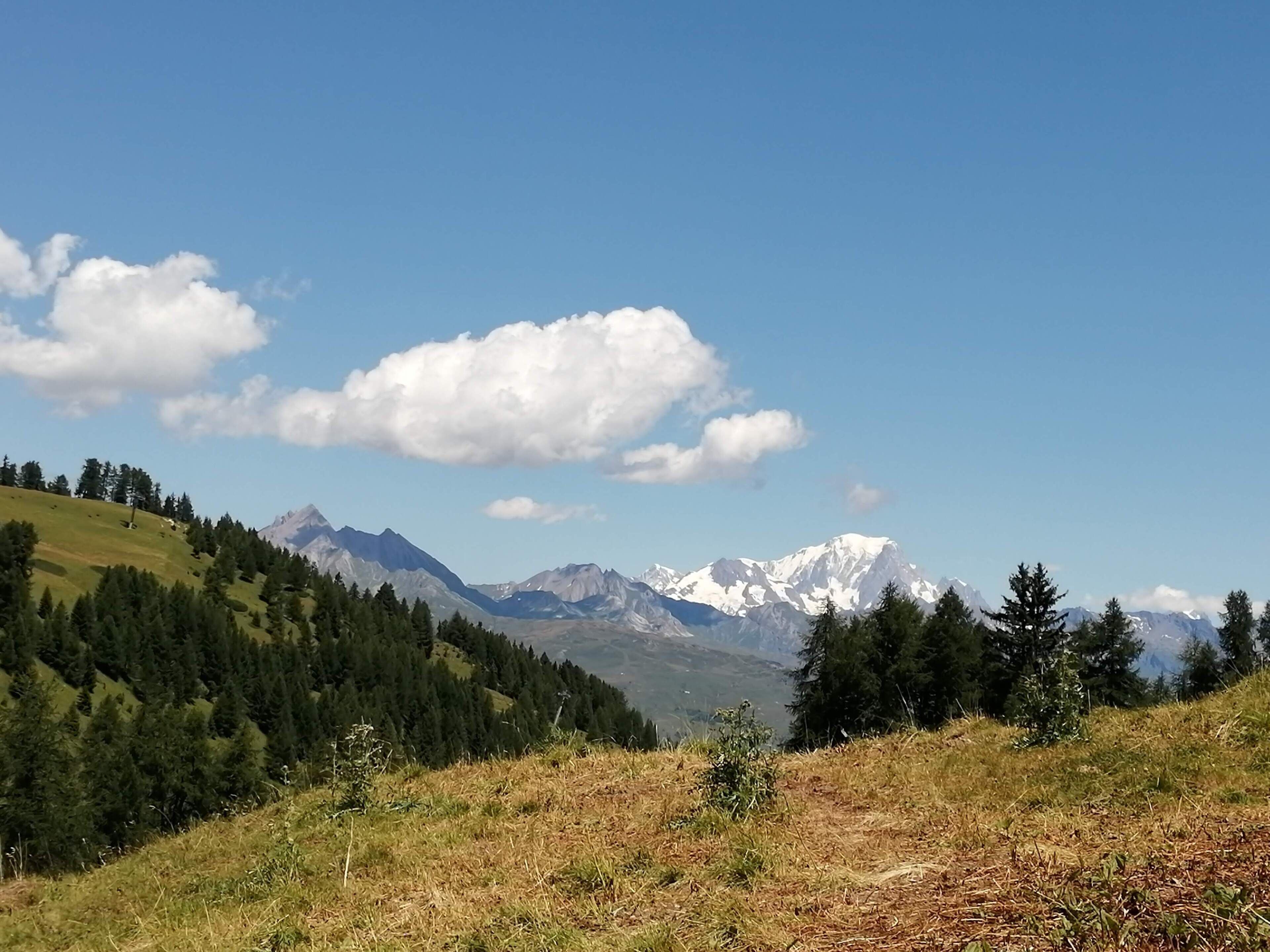 A mountainous landscape with a clear sky and a path leading through a forested area.