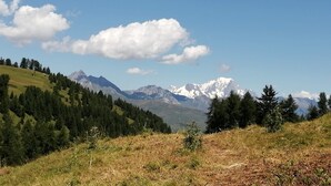 A mountainous landscape with a clear sky and a path leading through a forested area.