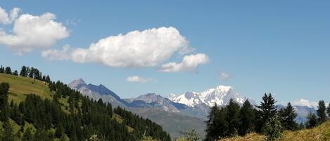 A mountainous landscape with a clear sky and a path leading through a forested area.