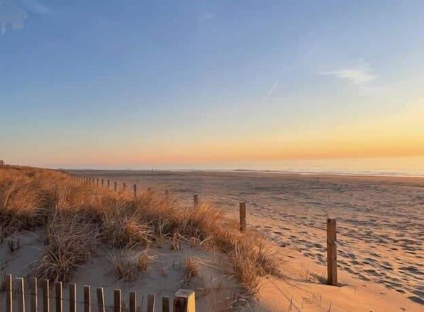 A beach with sand dunes and a wooden fence.