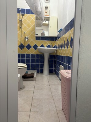 Shower, hair dryer, bidet, towels