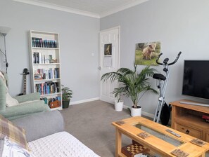 Smart TV, videojuegos, monitor de computadora