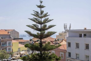 A tall pine tree in an urban setting with buildings in the background.