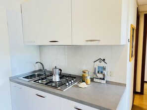 Fridge, microwave, stovetop, cookware/dishes/utensils