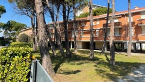 Un edificio de varios pisos con fachada de ladrillo, rodeado de árboles y un césped bien cuidado.