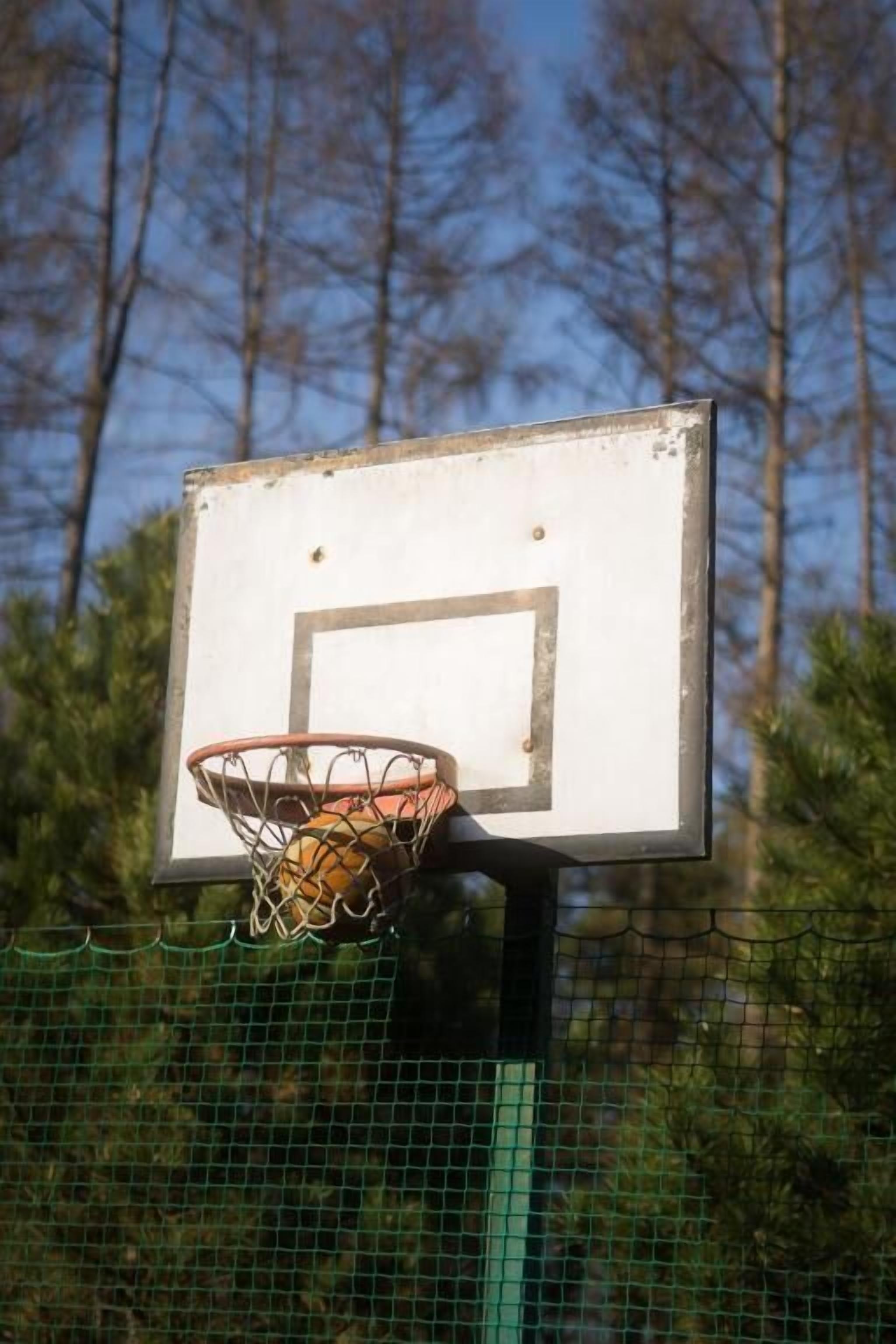 Basketballbane