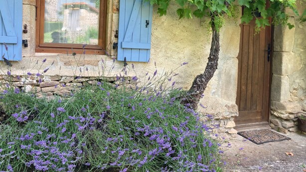 Ein rustikales Steinhaus mit Holztür und blauen Fensterläden, umgeben von Lavendel und Weinreben.
