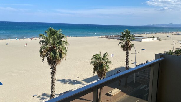 A beach with palm trees and a clear sky.