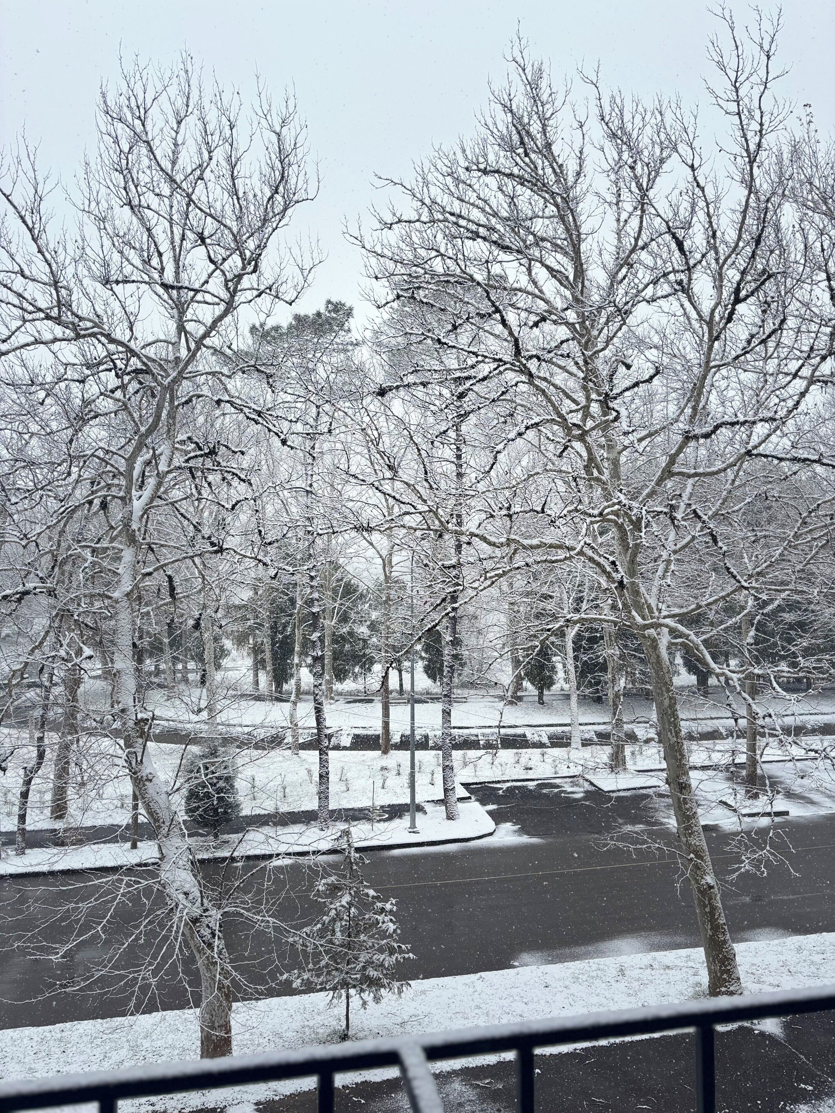 A snow-covered park with bare trees and a frozen river.