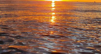 A pedreira. Country cottage with large lawn. Well-equipped.