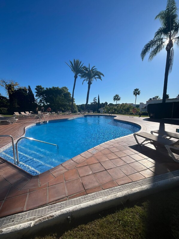 Unclassified image, 1 of 50, button