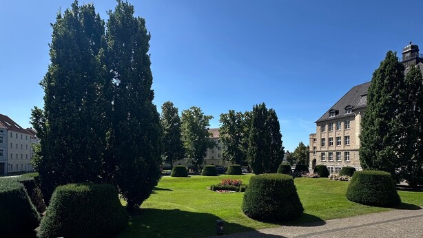 A courtyard with a cobblestone path, neatly trimmed hedges, and a large tree.