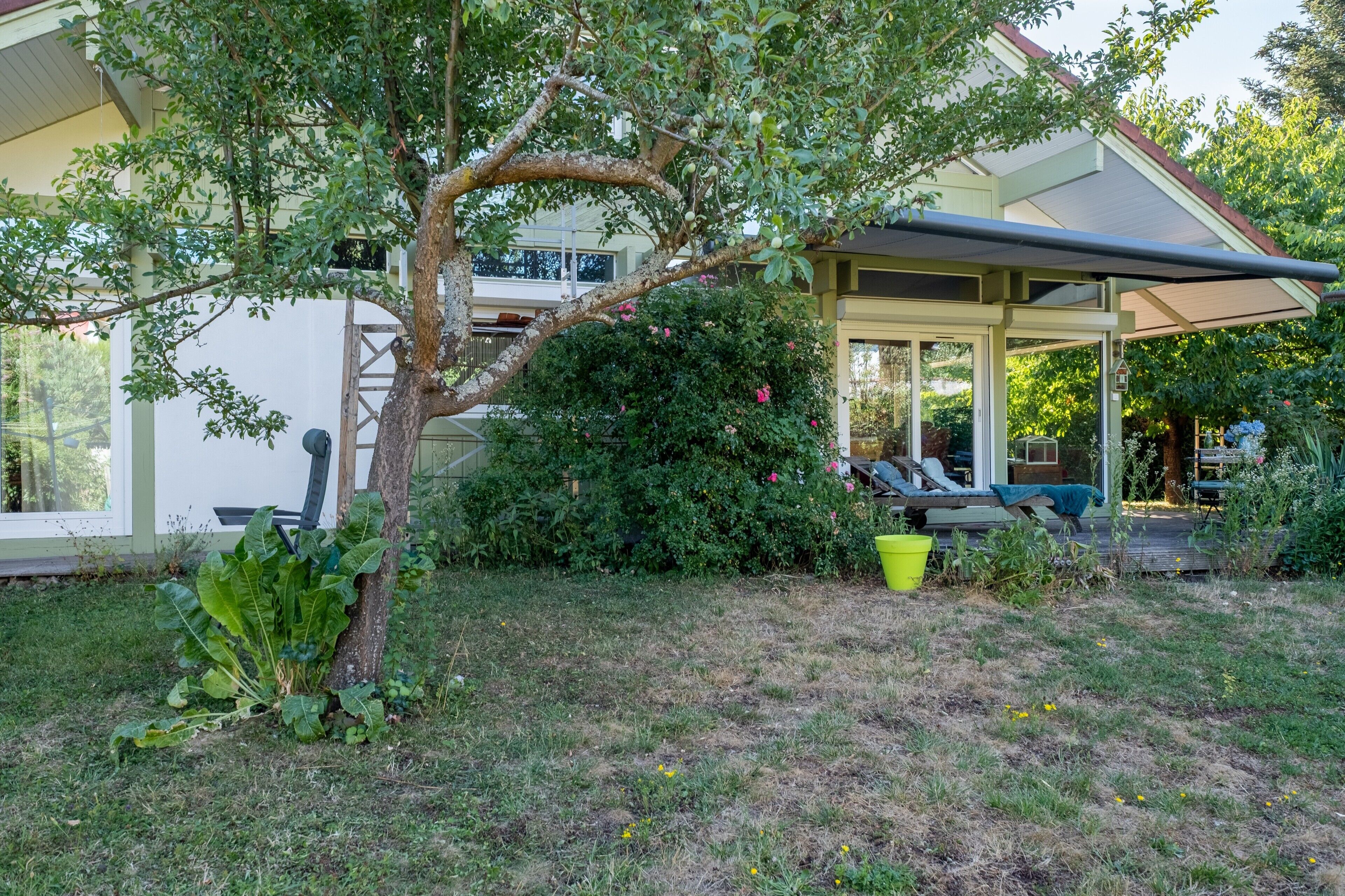 A covered outdoor seating area with a tree and greenery.