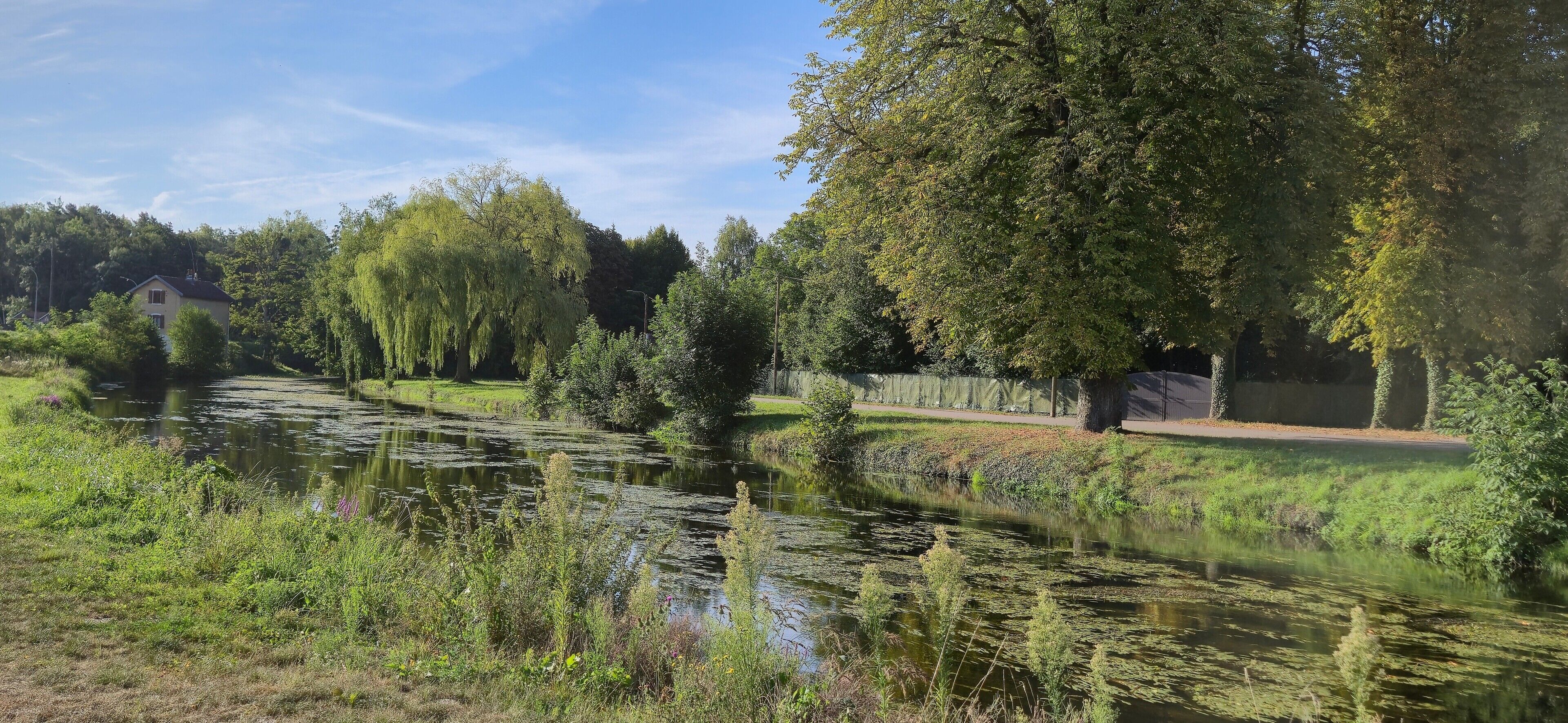 Un paesaggio tranquillo lungo il fiume, con una casa, alberi e una recinzione.