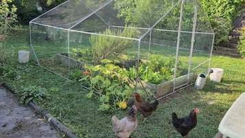 Enceinte de lâhĂ©bergement