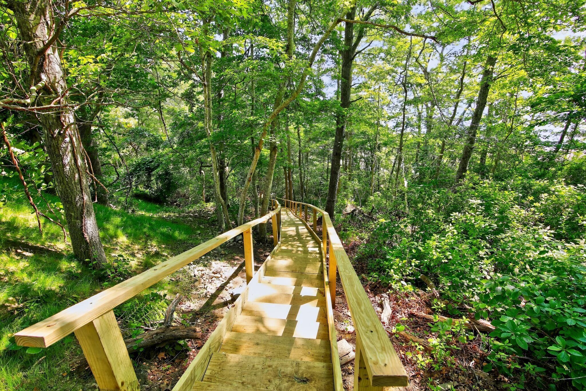 Een houten brug in een bebost gebied met weelderig groen en bomen.