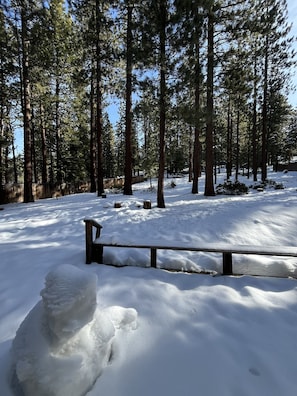 House, 5 Bedrooms | Property grounds