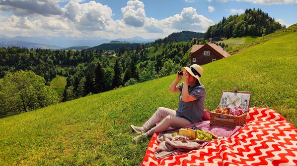 الإطلالة من المنشأة