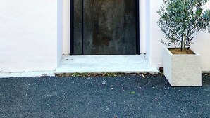 Eine moderne Tür mit strukturierter Oberfläche und horizontaler Griffleiste, neben einem Betonpflanzkübel mit einem kleinen Baum.
