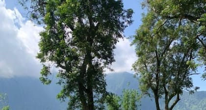 Green Lava Glamping Bedugul