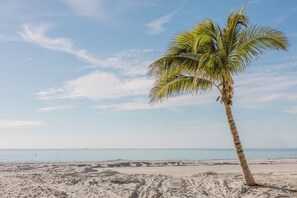Plage à proximité
