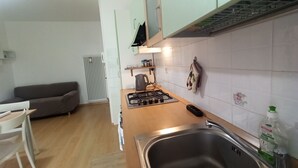 A compact kitchen with a gas stove, a sink, and a radiator. - APARTMENT AVIANO (Aviano)