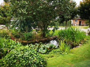 A garden with a pond, lush greenery, and a building in the background.