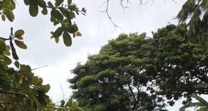 Enseada dos Corais, Cabo de Santo Agostinho, Pernambuco, Brasil