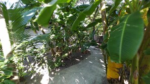 House, 4 Bedrooms, Accessible, Smoking | Garden