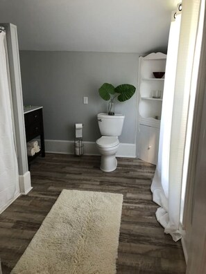 Asciugacapelli, asciugamani, sapone, carta igienica