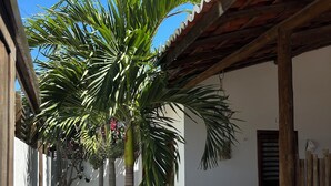 Een binnenplaats met een palmboom, stenen trappen en een houten omheining.