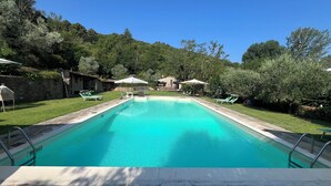 A rectangular swimming pool with clear blue water, surrounded by a stone deck. There are lounge chairs and umbrellas on the poolside.