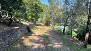 Un sendero pavimentado bordeado por muros de piedra y árboles, que conduce hacia el agua.