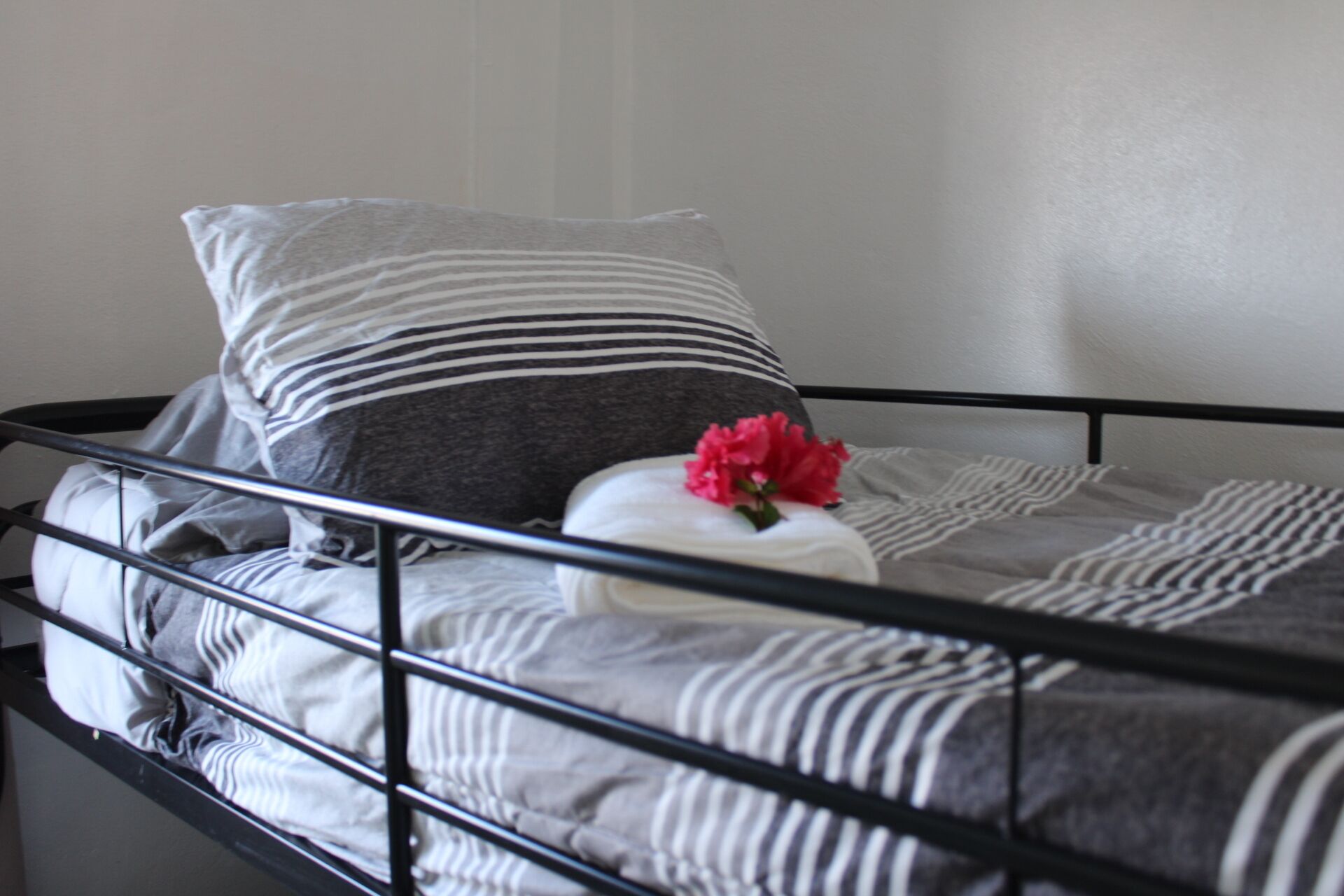 Una cama con estructura de metal negro, ropa de cama a rayas grises y blancas, almohada gris y una flor roja sobre una almohada blanca.