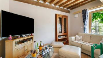 Fernseher