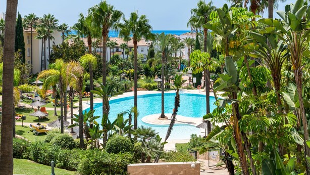A resort pool surrounded by palm trees and greenery, with a view of the ocean in the background.