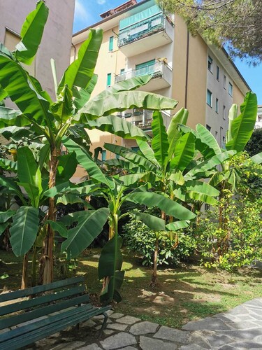 House Rosy nice apartment for 4 people