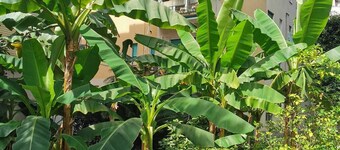 House Rosy nice apartment for 4 people