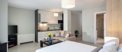 Standard Apartment, Balcony, City View