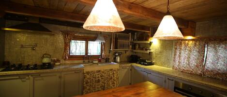 Microones, forn, placa de cuina i rentaplats