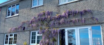 Detached house with sea view