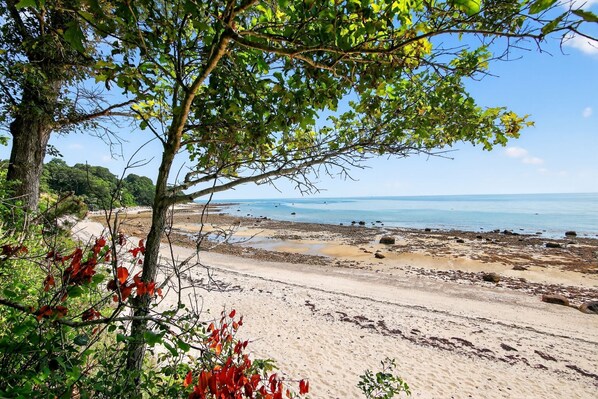 In StrandnÀhe