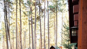 Une terrasse en bois avec deux fauteuils Adirondack, entourée d’une forêt aux arbres imposants, et plusieurs cabanes en bois visibles au loin.